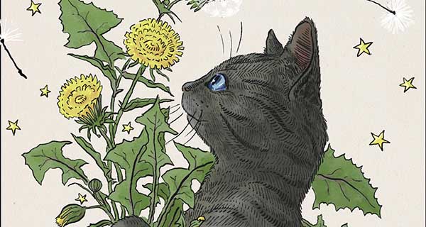 Photo of Interview with Kathleen Jennings Illustrator of Gobbolino, the Witch’s Cat
